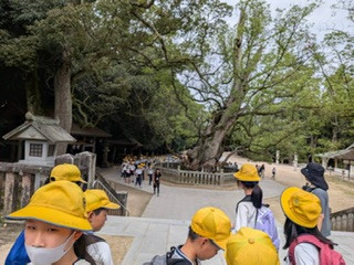 0A182AA1-3BC1-4949-9417-0B5D9E305903