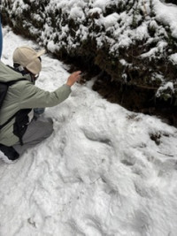 FBB94B89-DEDE-431F-9FEB-B42728759E88