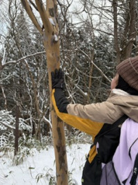 9FE2128F-ADB6-434F-9E1D-97059B457FAE