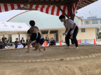 IMG_4290
