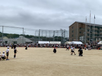 IMG_4561
