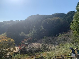 39AB4290-0013-4414-AA3C-310A3FEF819E