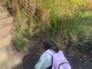 0B243AE5-DC69-4B88-B66E-5D4F615FAF5C