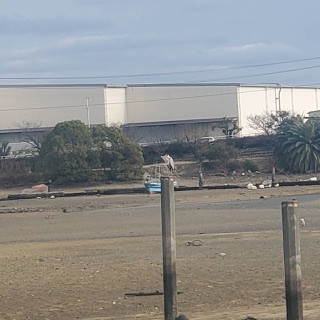 C5FC0DF4-4EC2-4E4C-A11C-0BA4EC0964EC