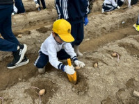 C266196D-97F2-4E1E-B572-F4245A10BC64